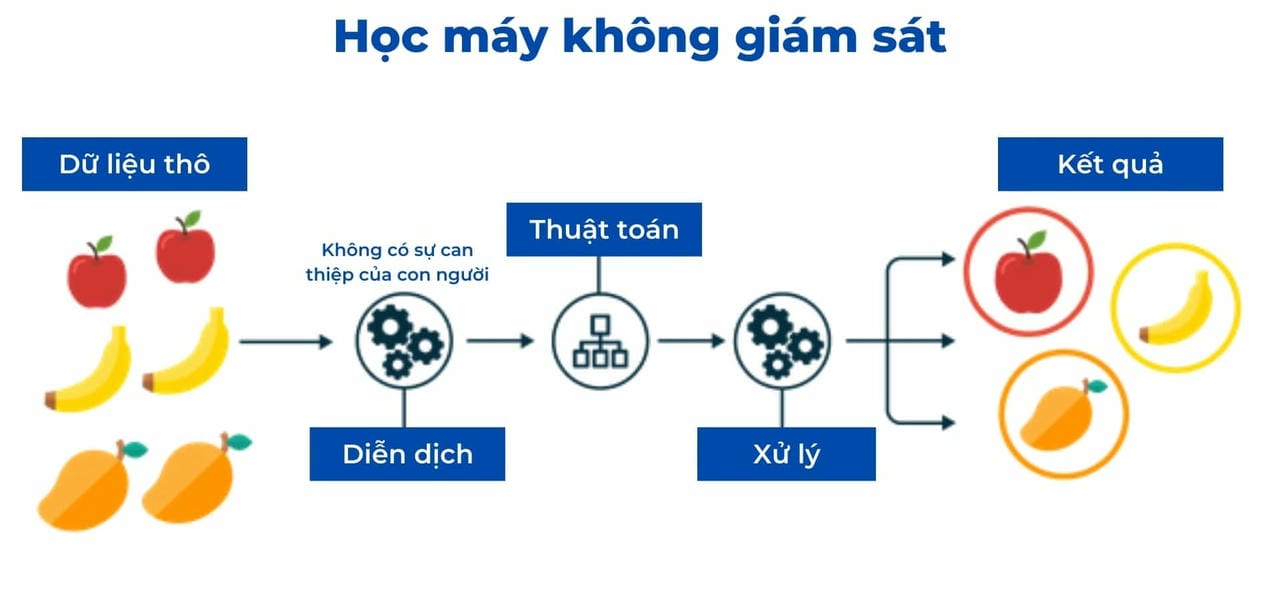 Mô hình học máy không giám sát