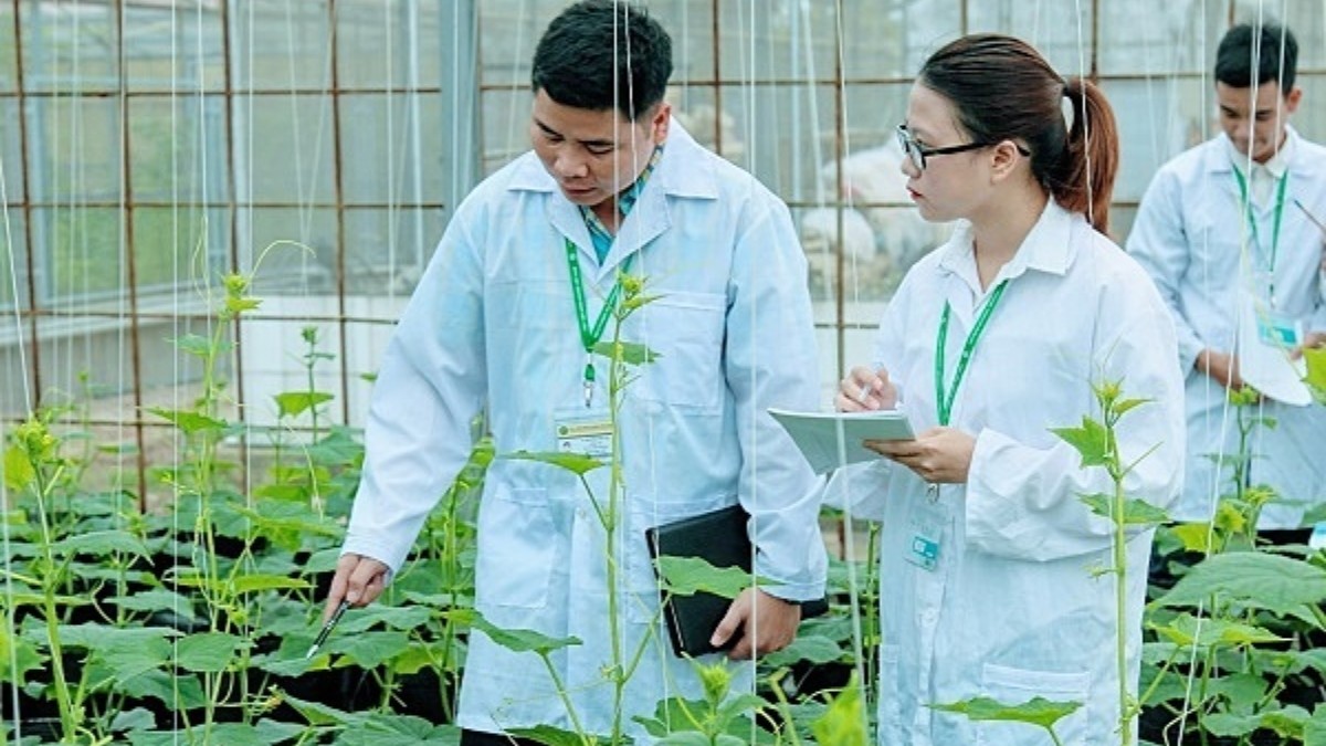 Trường đại học nông nghiệp 1 năm bao nhiêu học kỳ