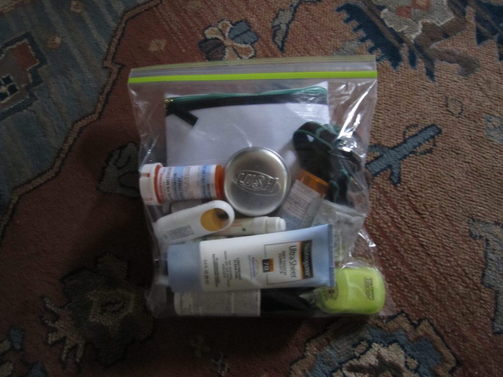 kate said i will help you carry your luggage 9