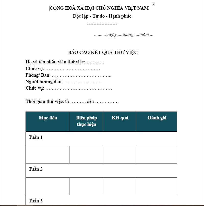 Mẫu báo cáo thử việc