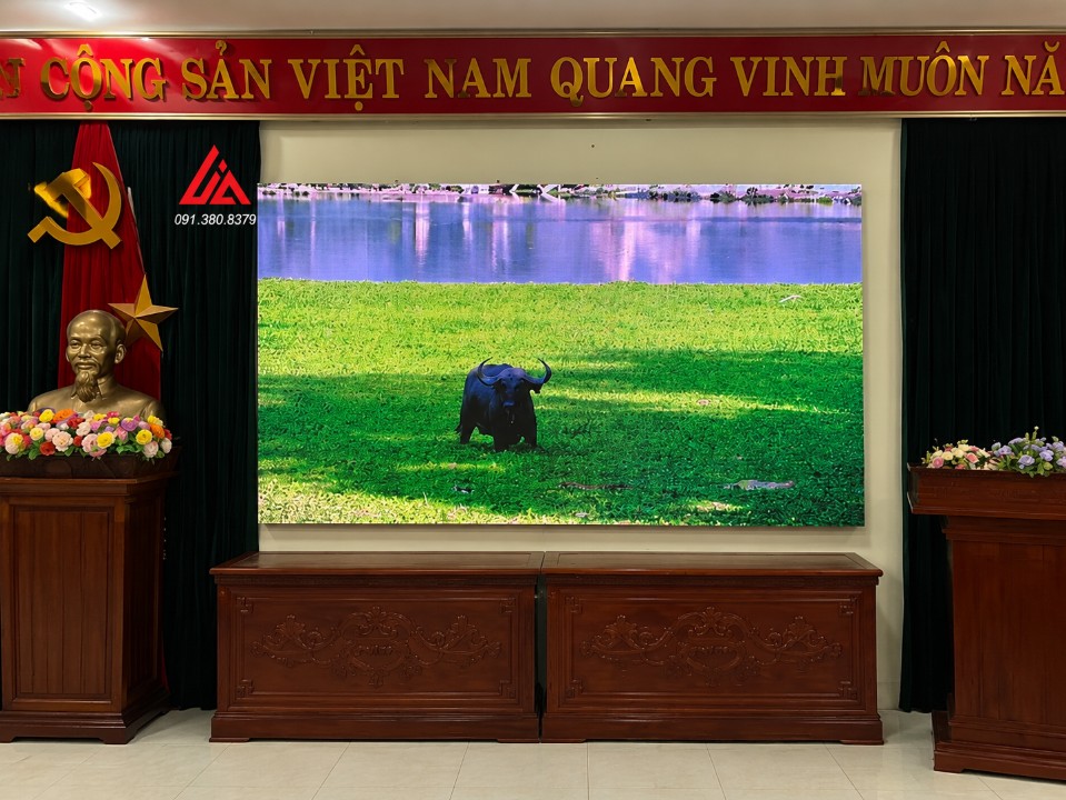moi hinh chieu the hien duoc bao nhieu kich thuoc 4