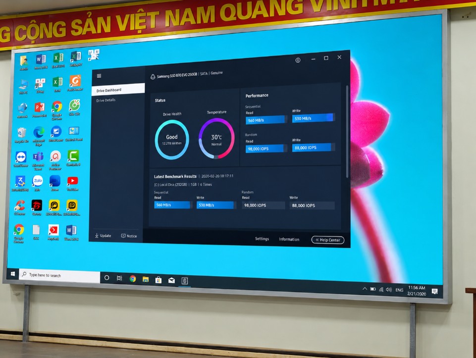 moi hinh chieu the hien duoc bao nhieu kich thuoc