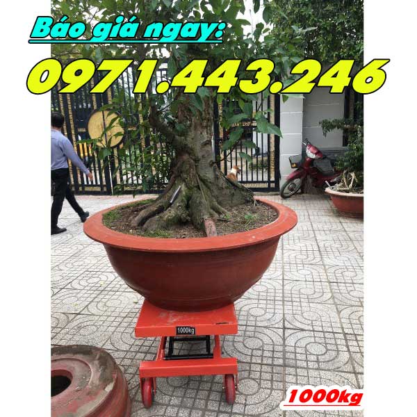 Bàn nâng cây cảnh 1 tấn
