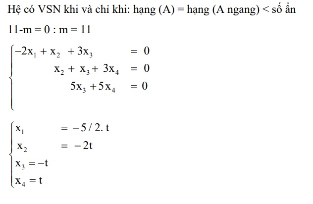 Biện luận hệ phương trình tuyến tính có nghiệm không tầm thường