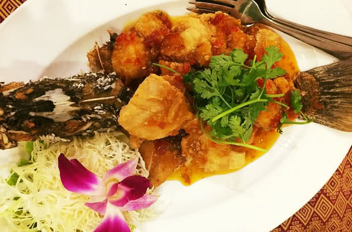 con voi vàng trần quốc hoàn 6