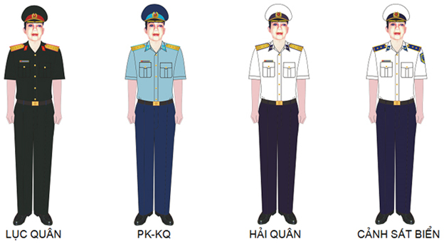 Quân phục Sĩ quan, Quân nhân chuyên nghiệp được sử dụng như thế nào?