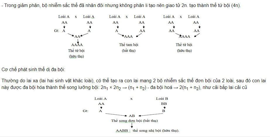 the song nhi boi la