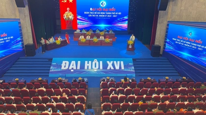 tổ chức chính trị xã hội tại Việt Nam