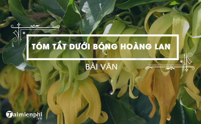 Gioi thieu tac pham Duoi bong hoang lan van 10 Chan troi sang tao