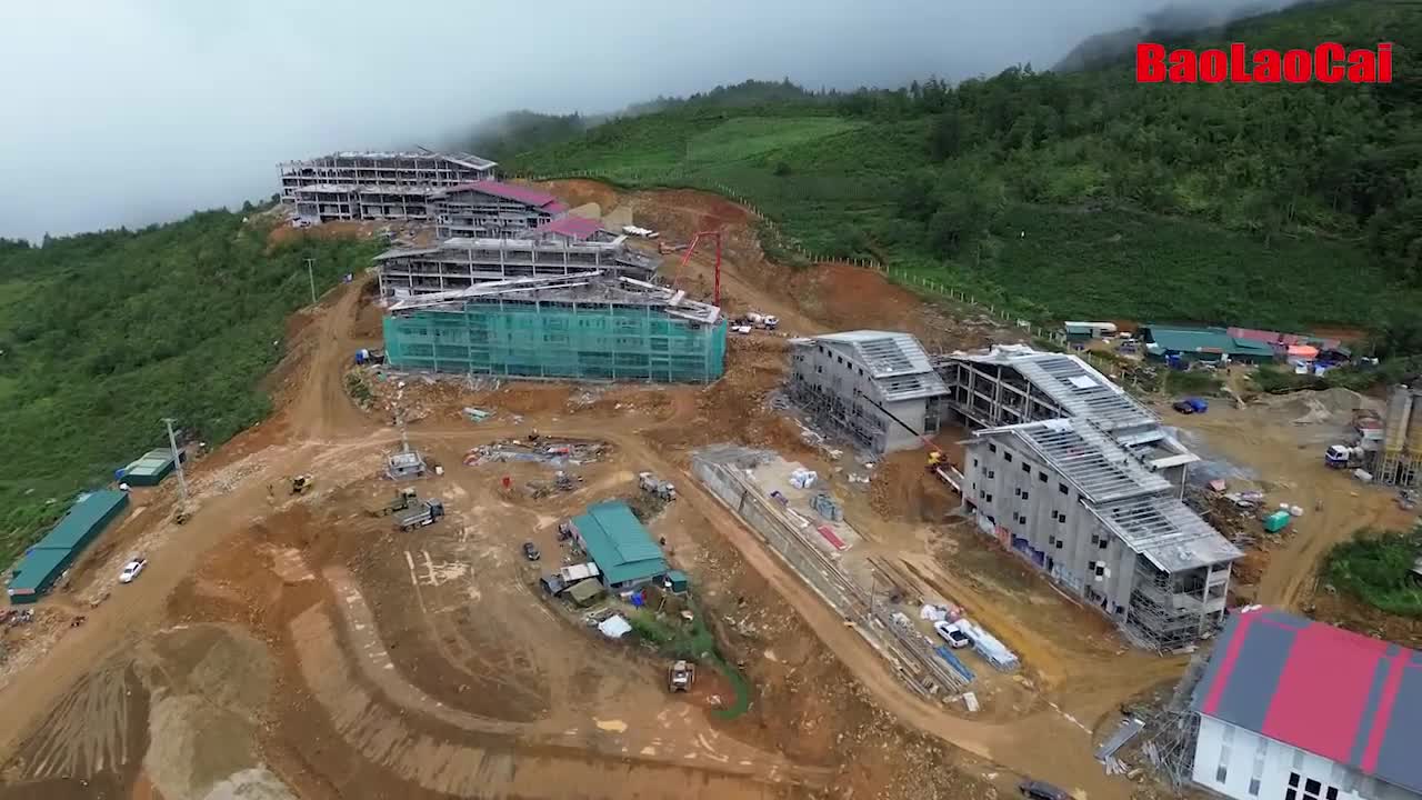 baolaocai-br_yty-2.jpg