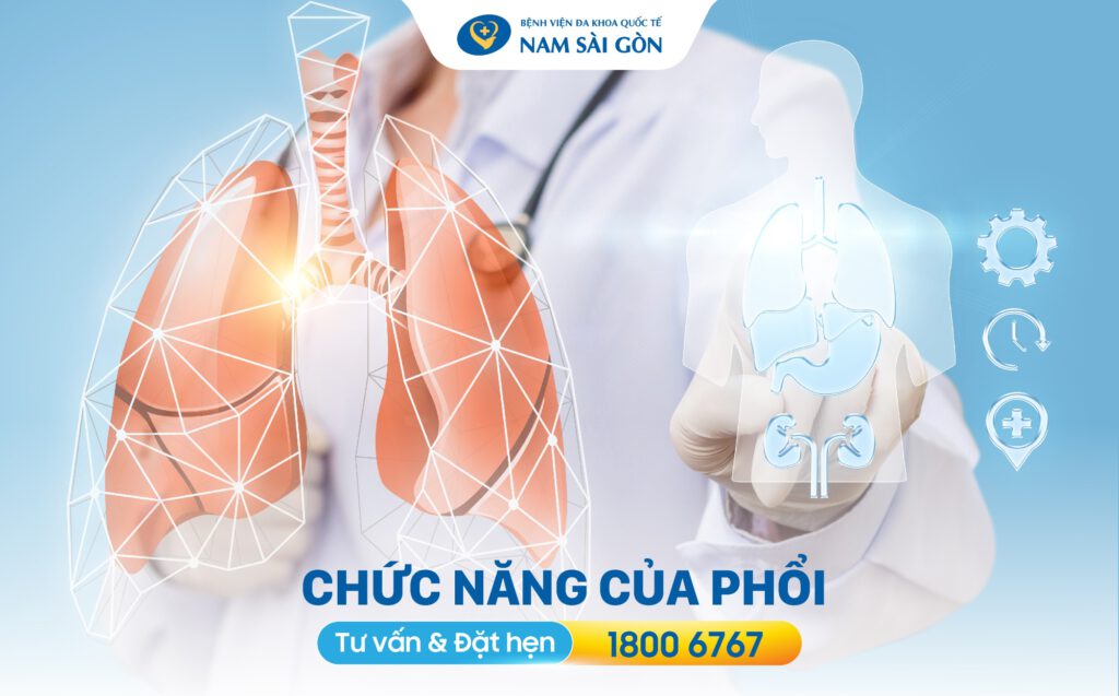 Chức năng của phổi