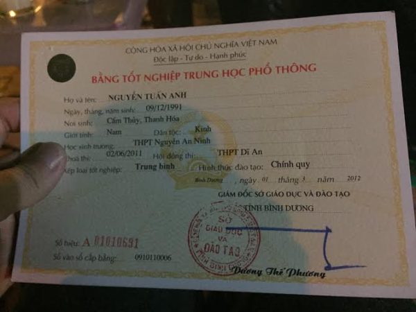 truong bo tuc cap 3 la gi 3