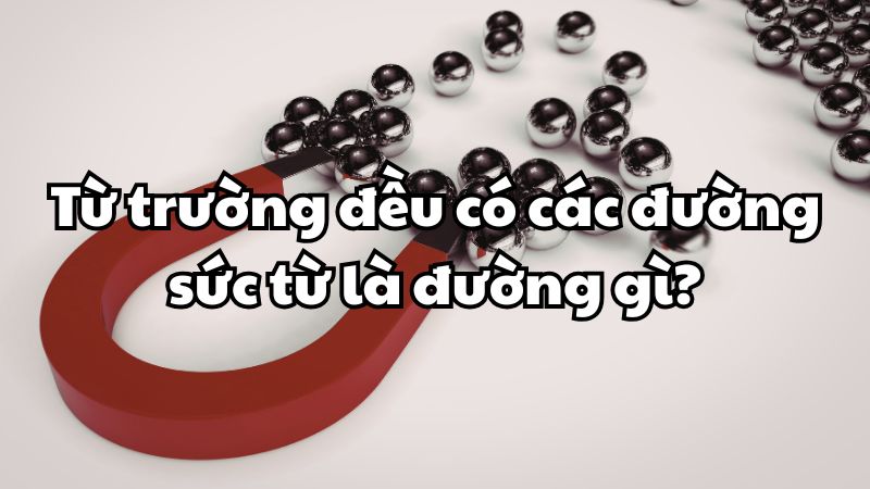 Từ trường đều có các đường sức từ là đường