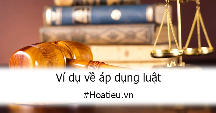 Ví dụ về áp dụng pháp luật