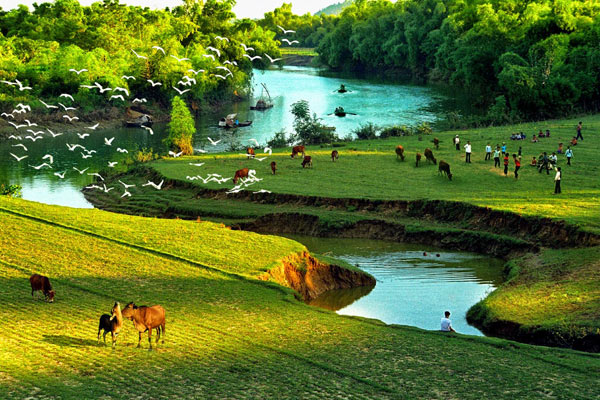 Tả quê hương nơi em đang sống