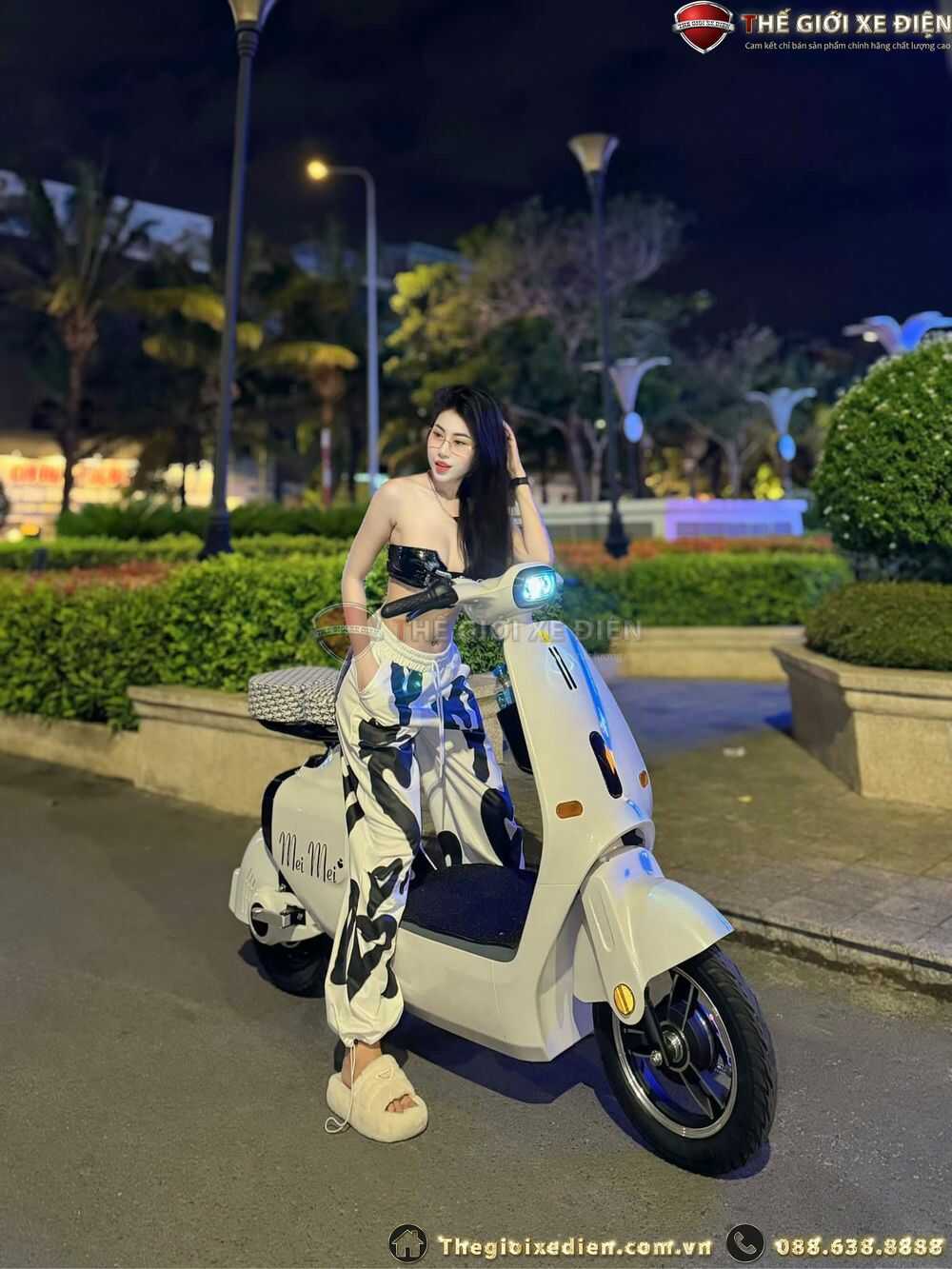 xe đạp điện vc dylexe k1