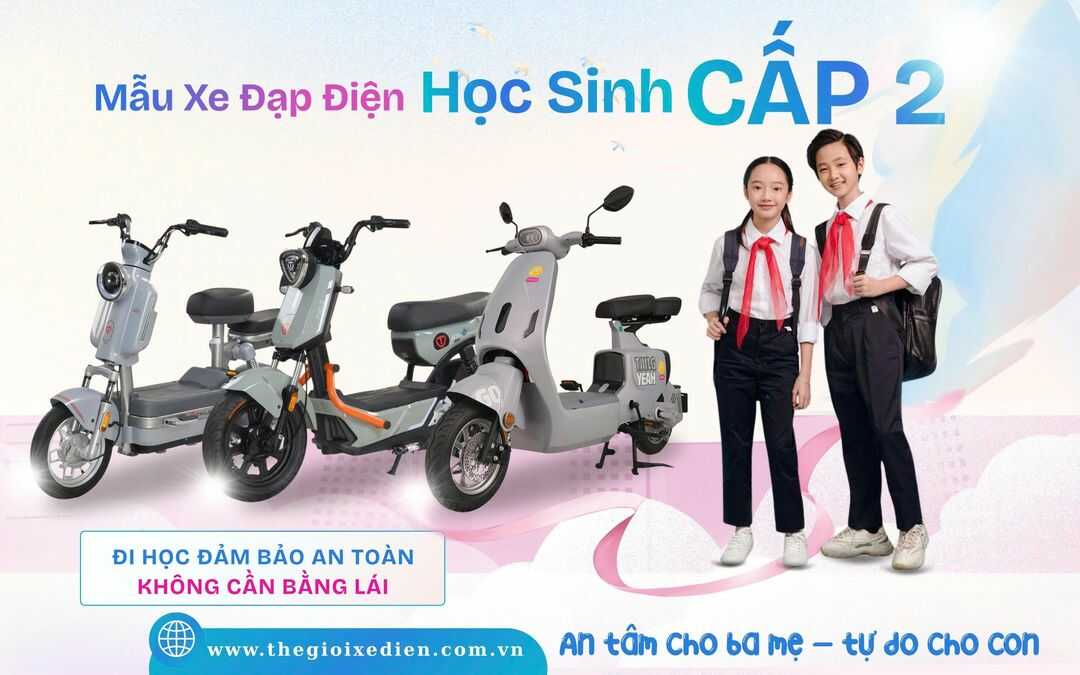 xe đạp điện dylexe đầy đủ giấy tờ