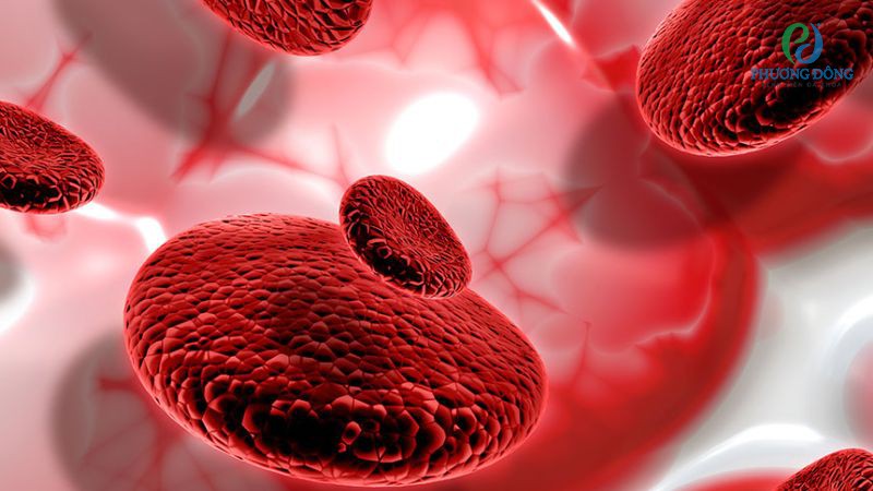 Thalassemia gây bệnh cho khoảng 7% dân số trên thế giới