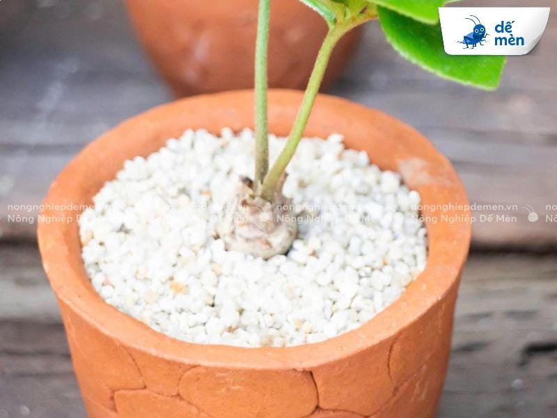 bột khoáng các loại phân bón cải tạo đất