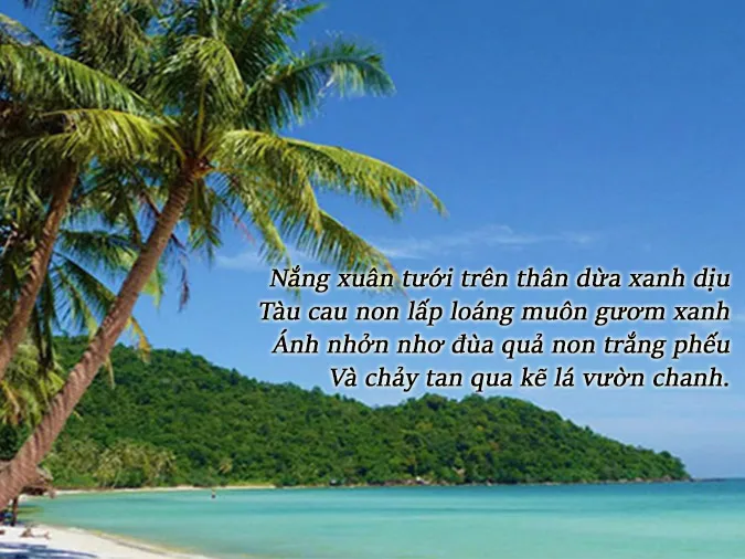 tho-to-huu-voh-2
